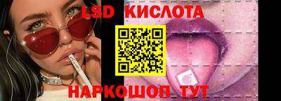 ГАЛЛЮЦИНОГЕННЫЕ ГРИБЫ Свободный