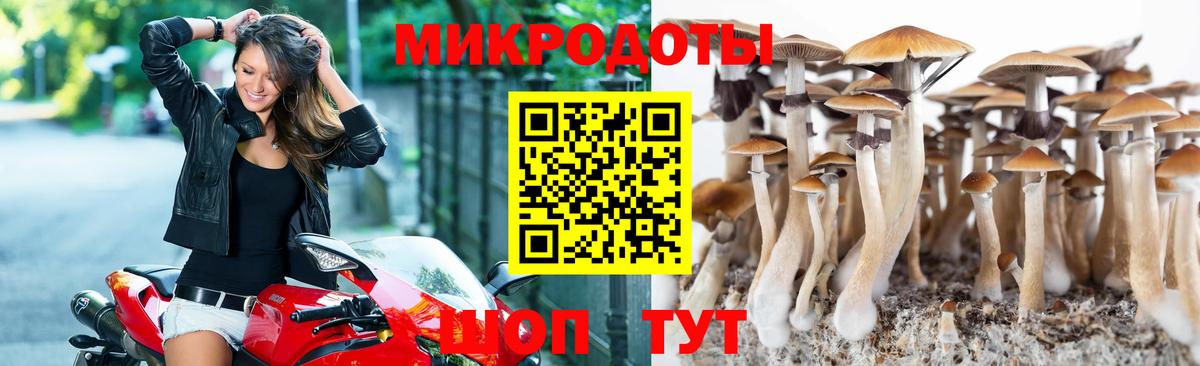 Псилоцибиновые грибы MAGIC MUSHROOMS Тихорецк